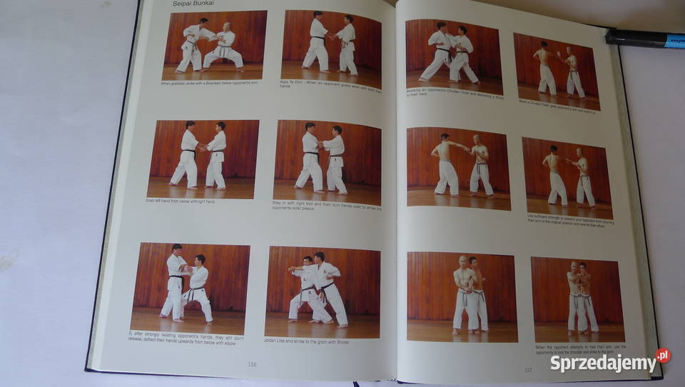 Eiichi Miyazato Okinawa Den Goju Ryu KarateDo mazowieckie Radom sprzedam