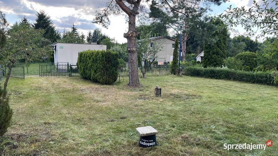 Działka ROD Bydgoszcz do własnej aranżacji 290m