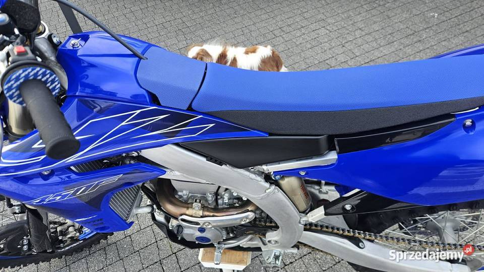 Yamaha YZF 450 2022 8 MTH Salon 1 Właściciel Rok produkcji 2022 lubuskie Sulęcin