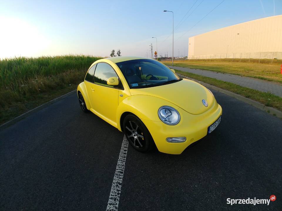 BEETLE New Beetle Toruń