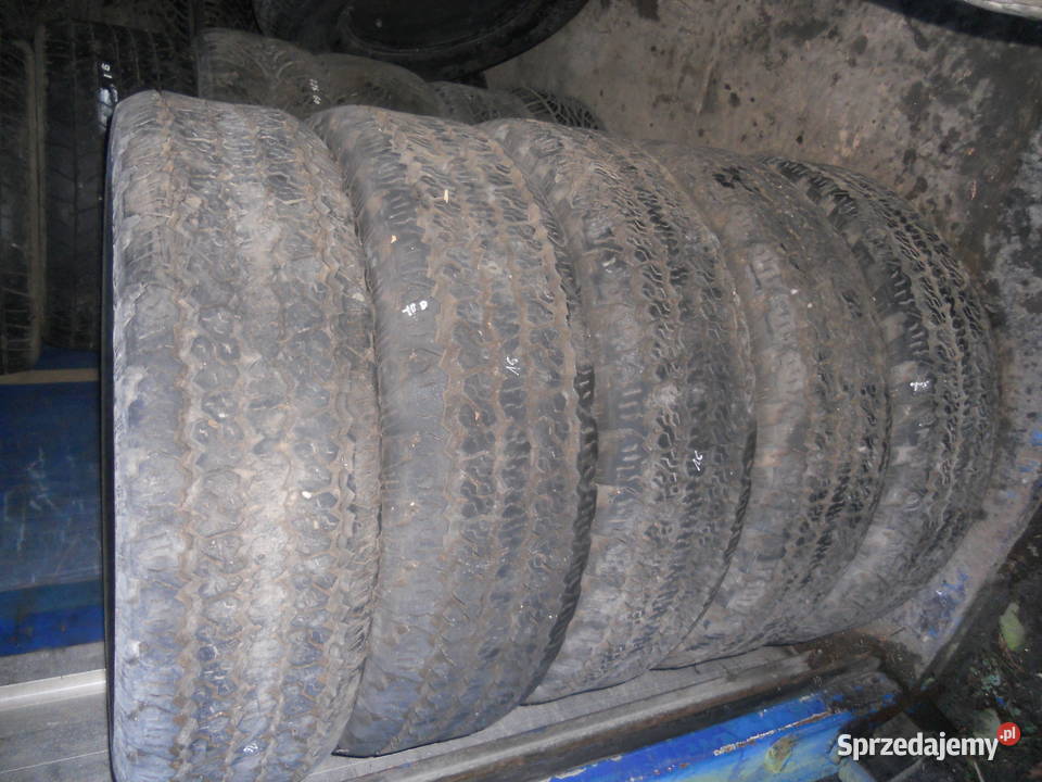 2557016 Firestone Wilderness 4x4 5 Sztuk całoroczne Dębica