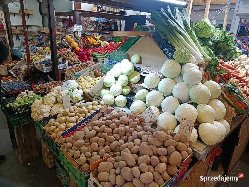 Wynajmę pawilon mazowieckie Warszawa