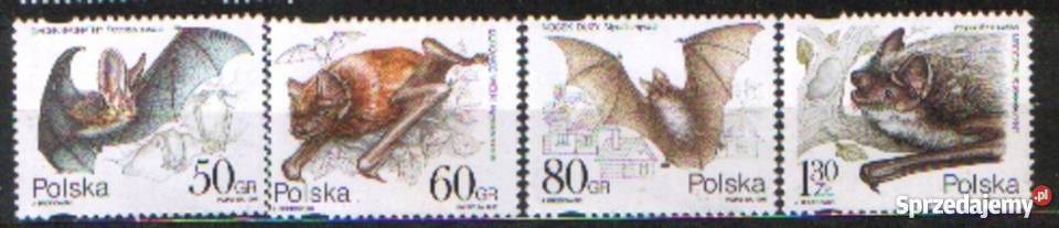 Zn Fi 3508 11 1997 Gliwice sprzedam