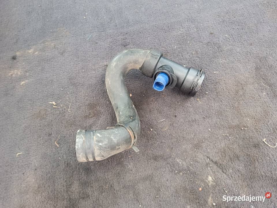 Wąż Przewód Chłodnicy Z Czujnikiem Audi A4 B5 Myszków