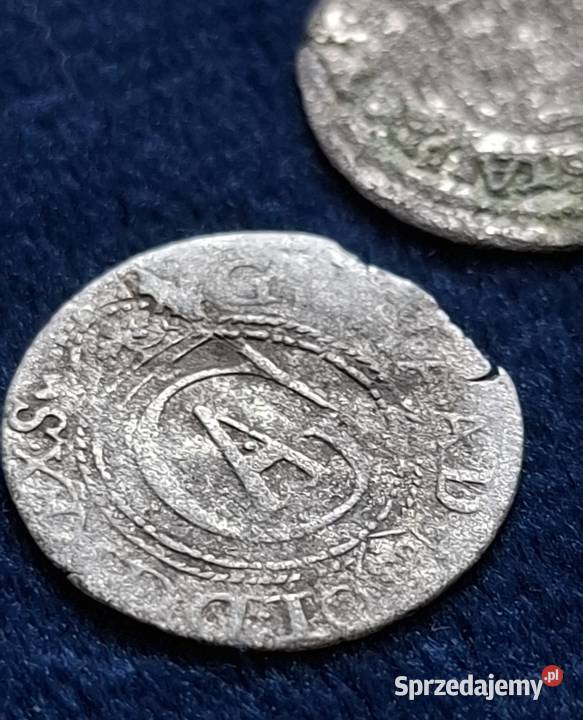 5 x szeląg z epoki Wazów 16111660 pomorskie Wejherowo