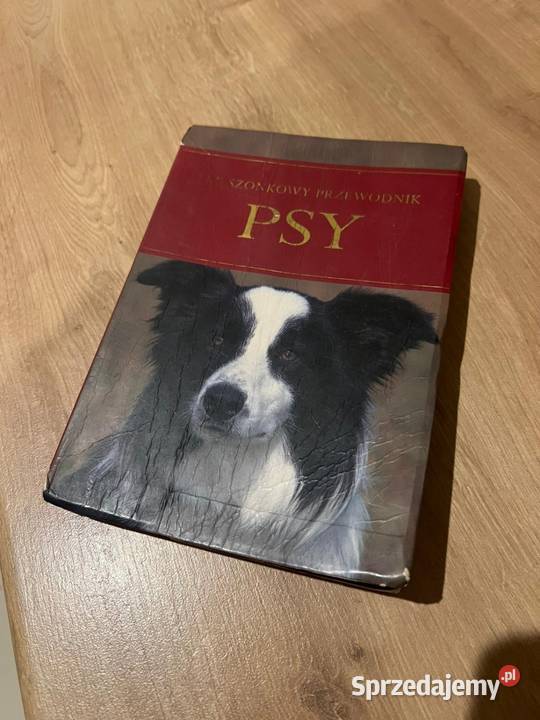 Super przewodnik o psach Reda