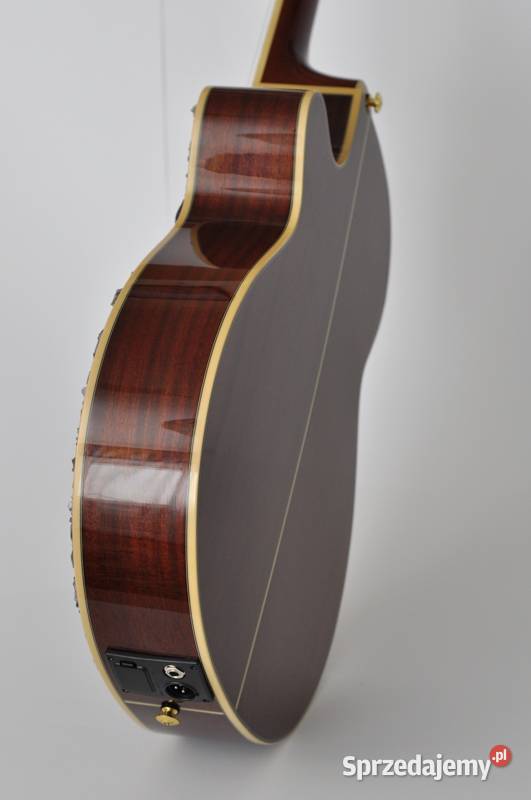 WYJĄTKOWA Gitara elektroklasyczna IBANEZ zachodniopomorskie Szczecin