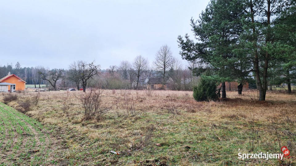 Grunt Pieńki 1743m2