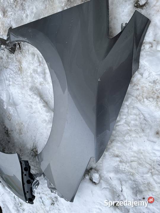 Nissan leaf Błotnik lewy prawy Poznań