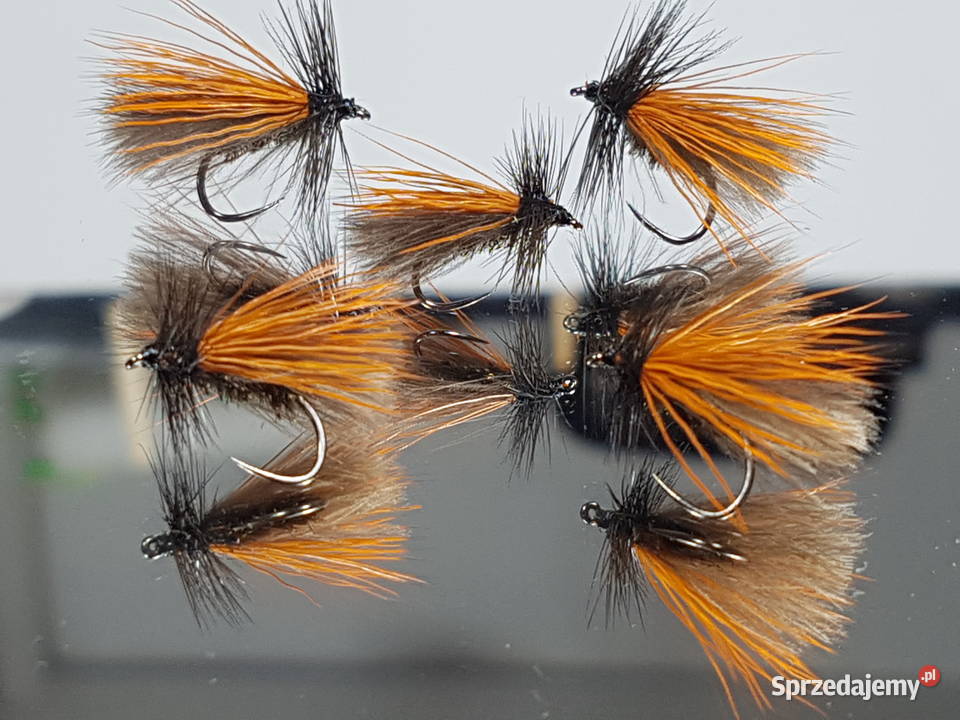 Sztuczne muchy suche chruściki Wędkarstwo Leśna