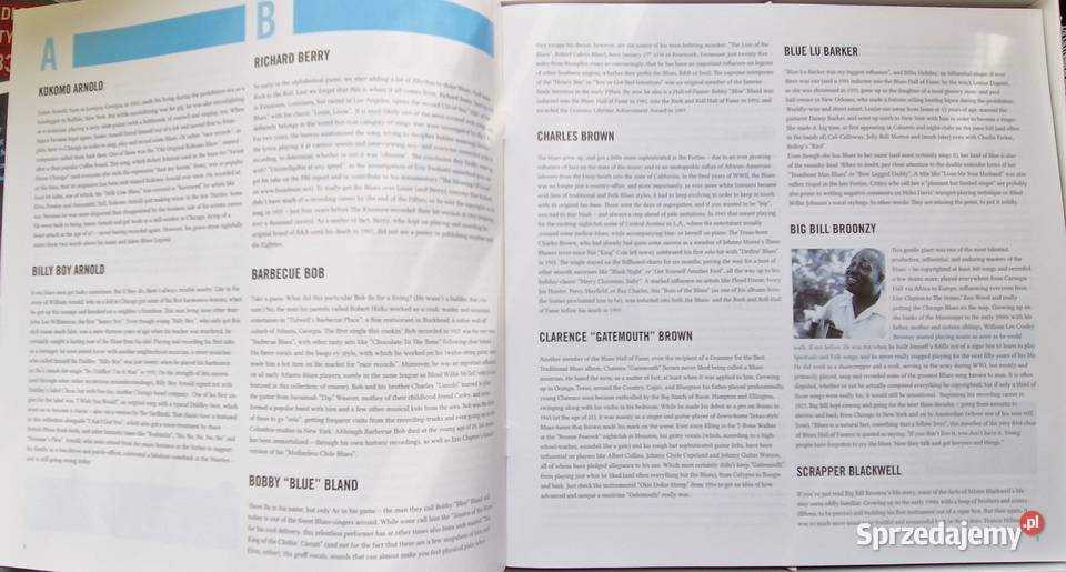 ABC of the Blues The Ultimate Collection From świętokrzyskie