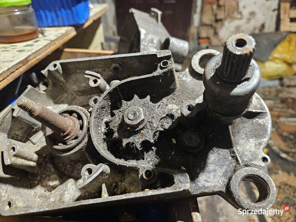 Komar silnik 023 Pielgrzymka