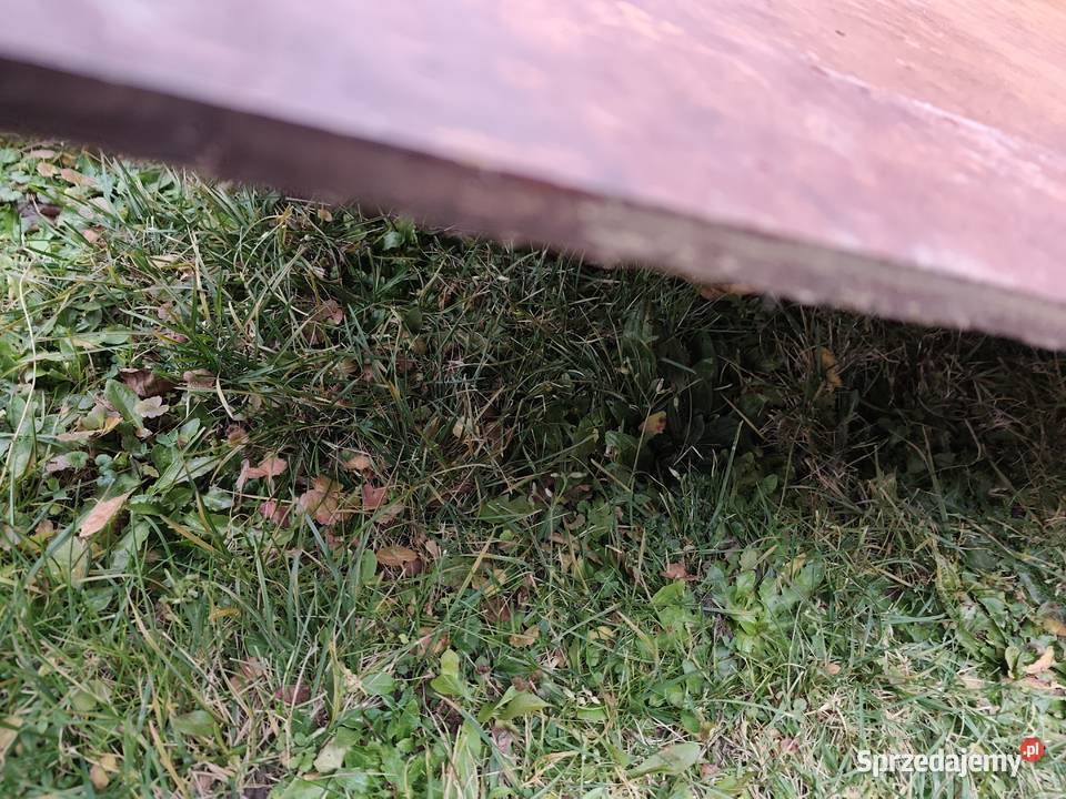 SKLEJKA WODOODPORNA 12 mm Pruchnik