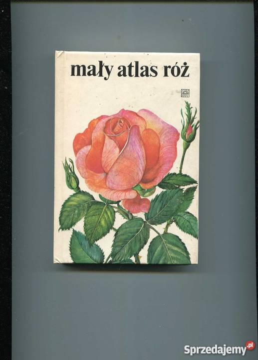 Mały atlas róż Szczecin