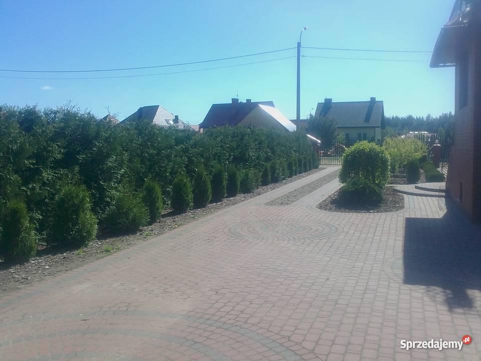 Dom w Piszu Najpiękniejsze miejsce na Mazurach taras warmińsko-mazurskie Pisz