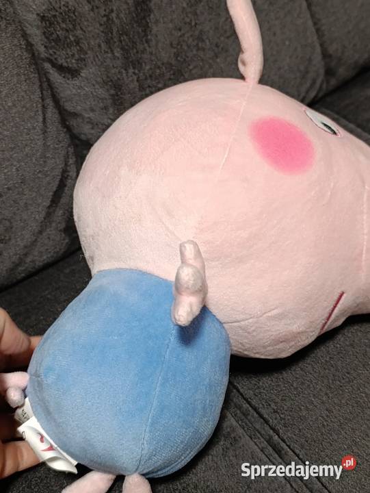 maskotki Świnki Peppy i jej młodszego brata Poznań