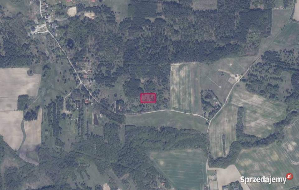 Działka 8616 w Granicznej Wsi 3007m2 Graniczna Wieś