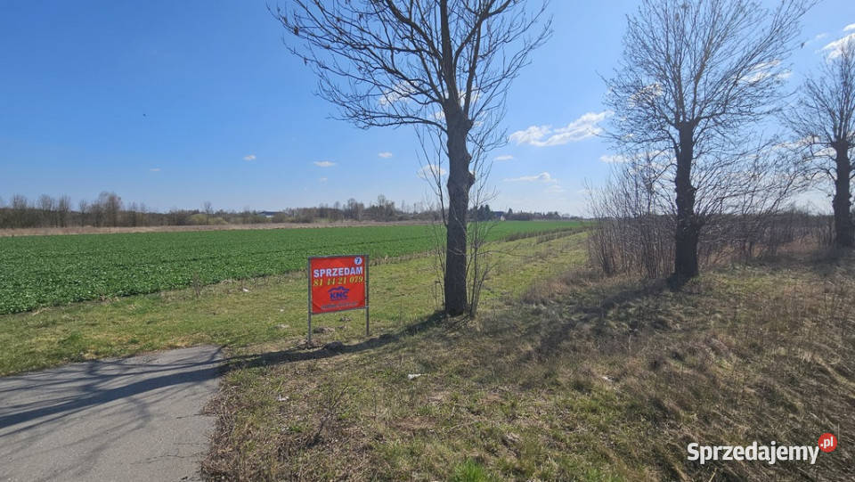 Kock 76 ar produkcja składy magazyny i mieszk