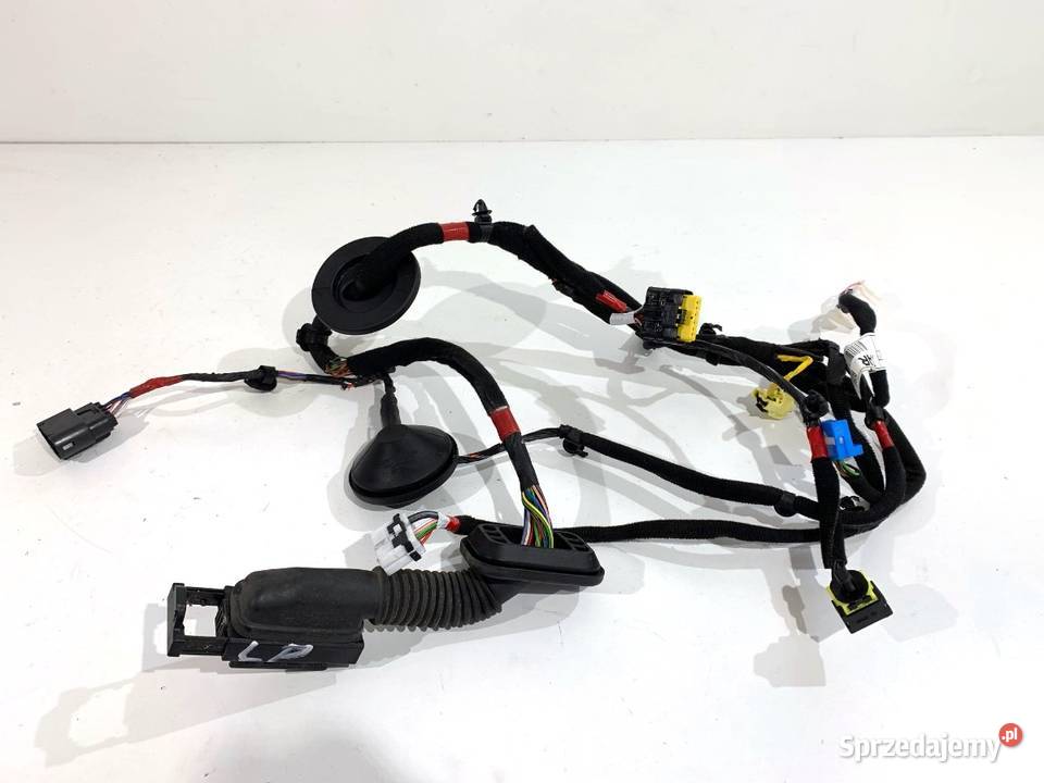 WIĄZKA DRZWI PRZÓD LEWY HYUNDAI i30 91605G4170 Części samochodowe