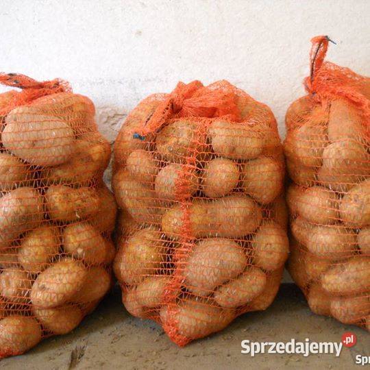Ziemniaki Jadalne TRANSPORT Bolestraszyce