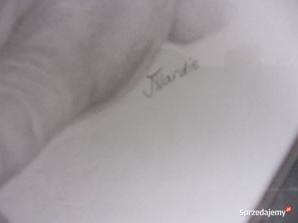 ładny rysunek wykonany w ołówku oprawiony Warszawa