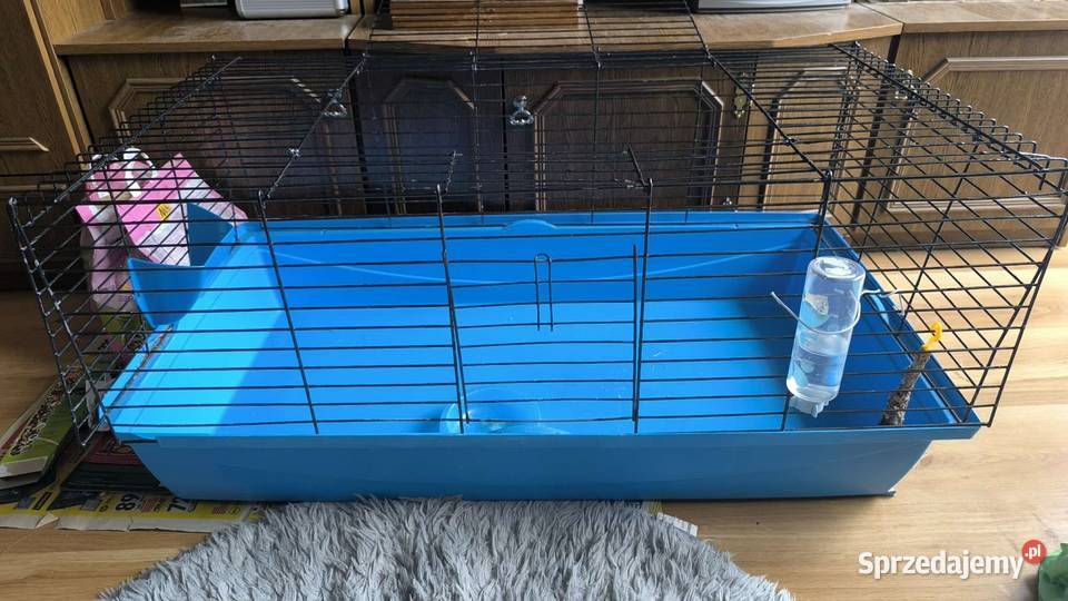 Duża klatka królika innego gryzonia 100 x 50 x Bydgoszcz