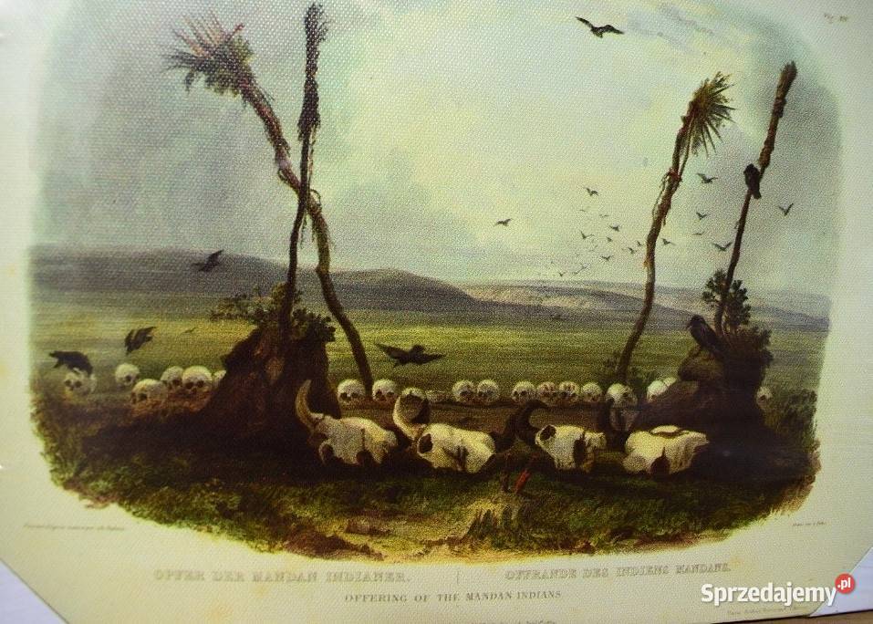 Historia Indian północnej Ameryki 4 reprodukcje kujawsko-pomorskie Chełmno sprzedam