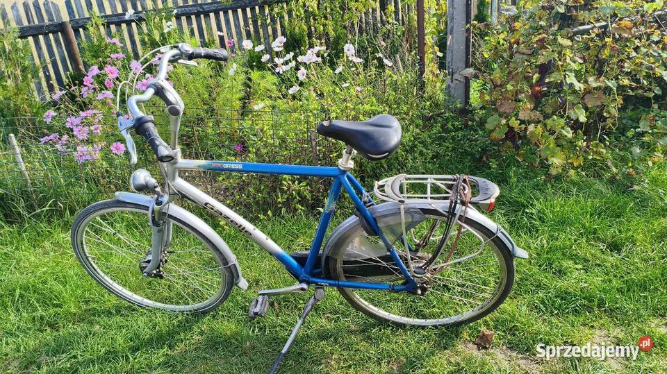 Batavus Gazelle sprzedam
