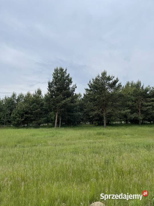 Dom na działce 96 arów mekintosz 10 9300m2 lubelskie