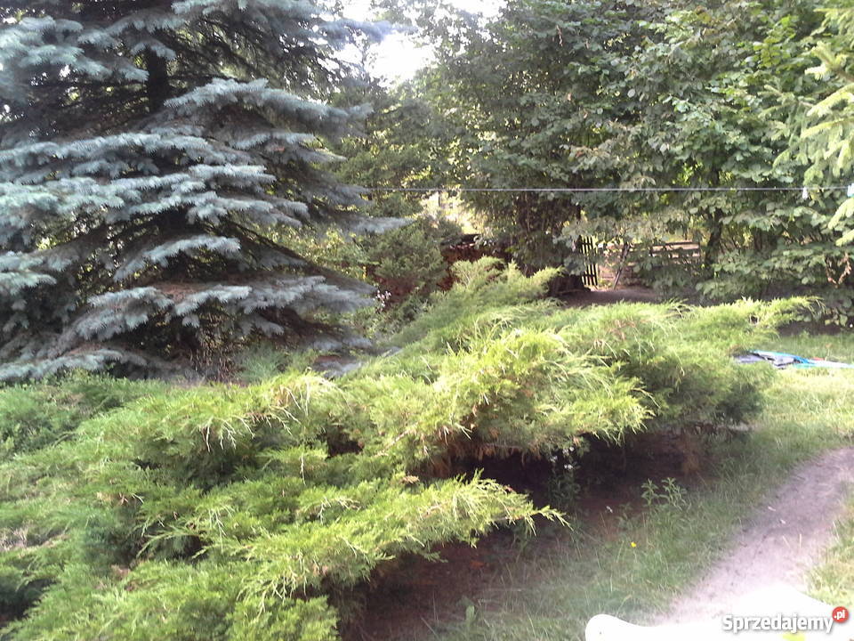 domek z działką 1680 m2 Glina Glina