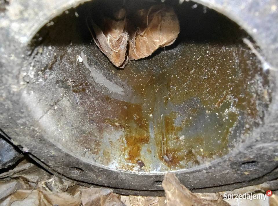 Oryginalne nowe cylindry Ural M67 Leszno