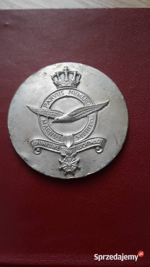 Holenderskie Królewskie LotnictwoMedal 1973 r50 Numizmatyka wielkopolskie Konin