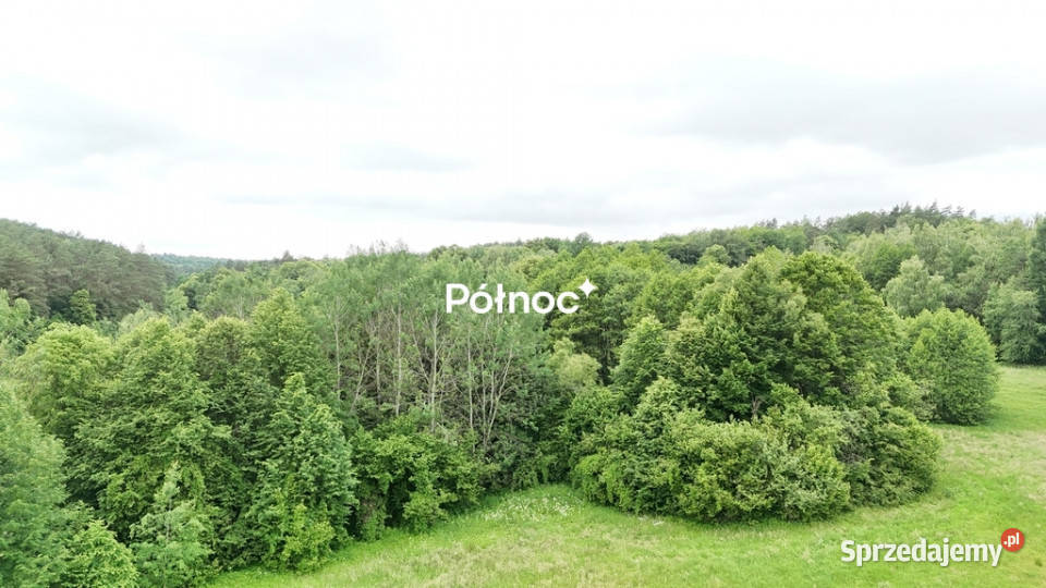 piękne ranczo z łąką i lasem pod HoryńcemZdrojem Sprzedaż Dziewięcierz