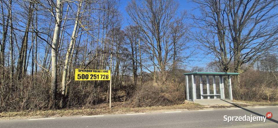 Działka rolna 11900m2 gmina Leoncin mazowieckie Secymin Polski