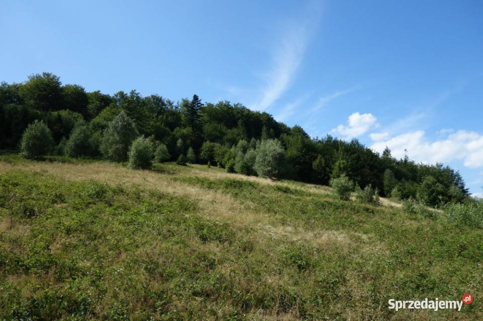 Brenna 253 ha działka inwestycyjna wyciągu inwestycyjna śląskie Katowice