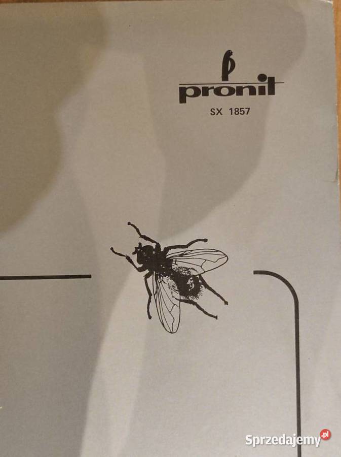 1979 Kombi Płyta gramofonowa winylowa analogowa metal Płyty i kasety Kielce