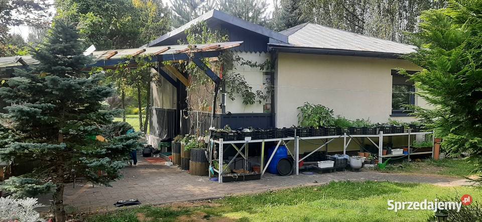 Działki 1000m2 z domkiem 65m2 w Tuszynie łódzkie Tuszyn sprzedam