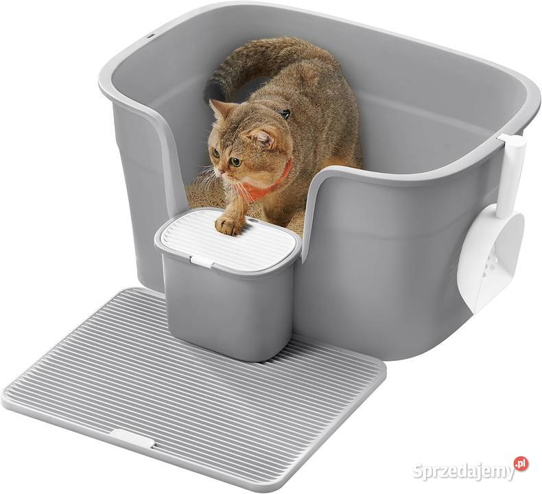 Kuweta kota duża wysoko boczna lubuskie Żary