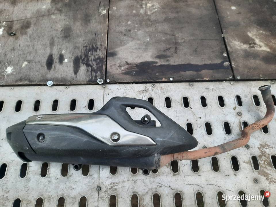 Tłumik wydech GOSHI CAT Honda SH 125 2020r Przyborów