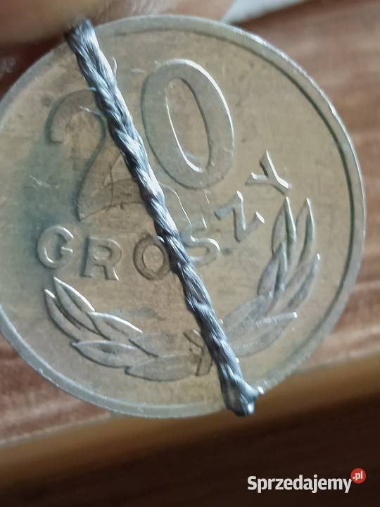 Sprzedam 20 gr 1981 r lekka skretka Chełm