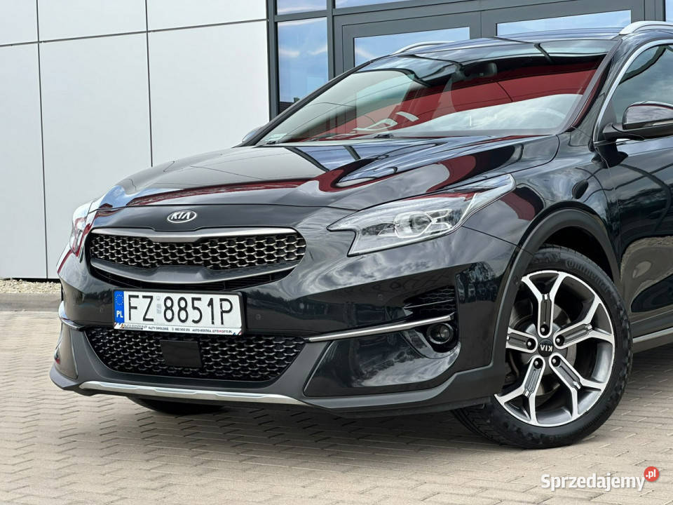 Kia XCeed Iręka Kamera LED Skóra Wirtual ESP Kąty Opolskie sprzedam