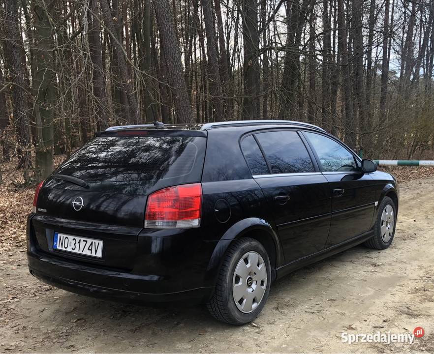Opel Signum 18 LPG Hatchback Pułtusk