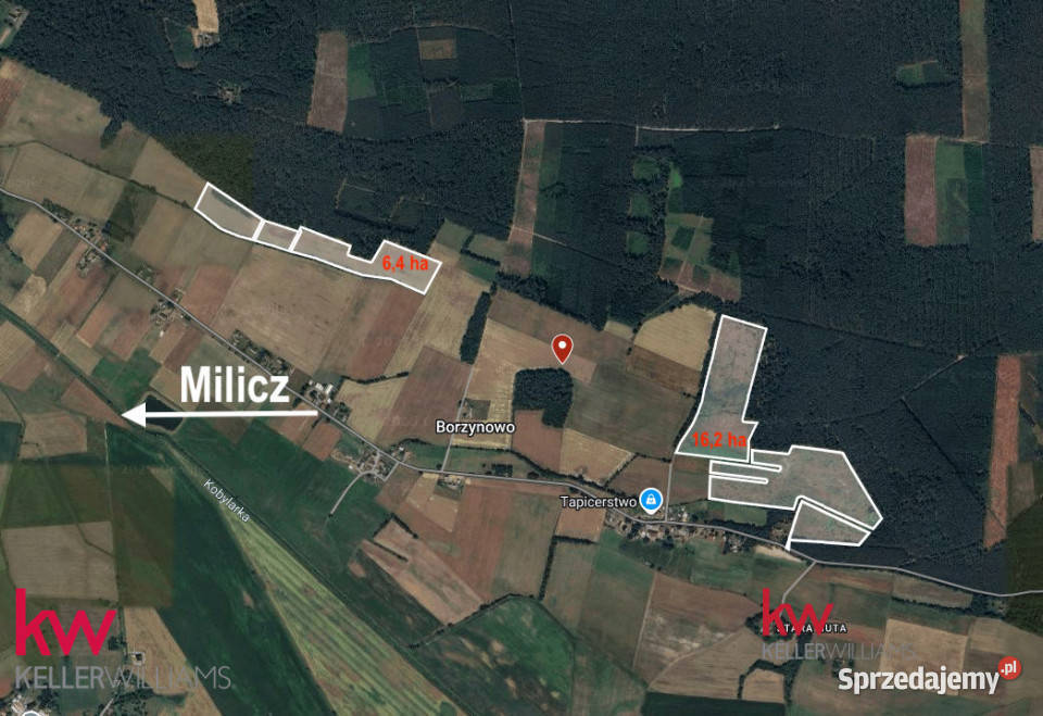 Działka 64170m2 Borzynowo