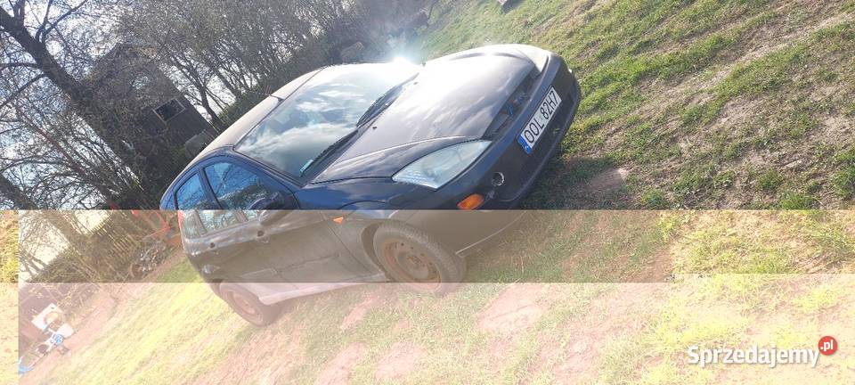 Ford Focus Focus Gorzów Śląski sprzedam