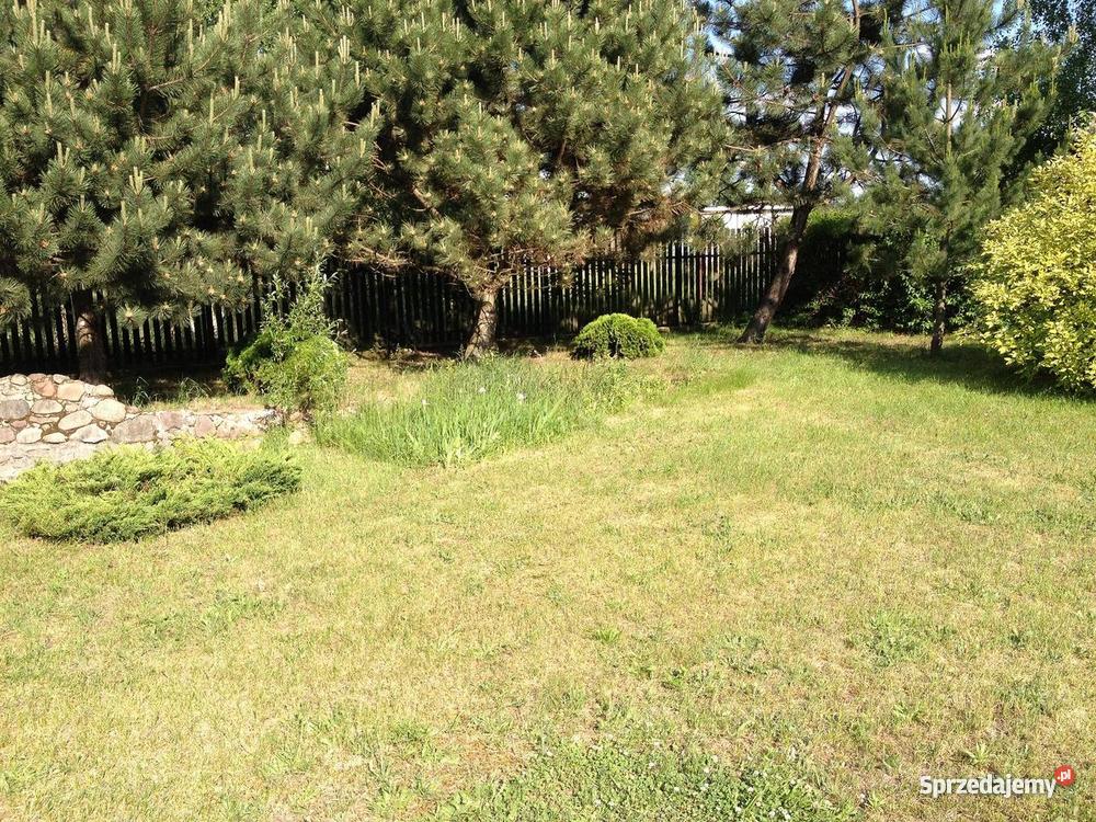 Działka Narwią Borsuki-Kolonia