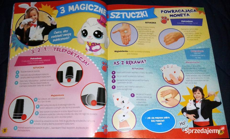 Littlest pet shop Zakątek zwierzątek Egmont Chełm