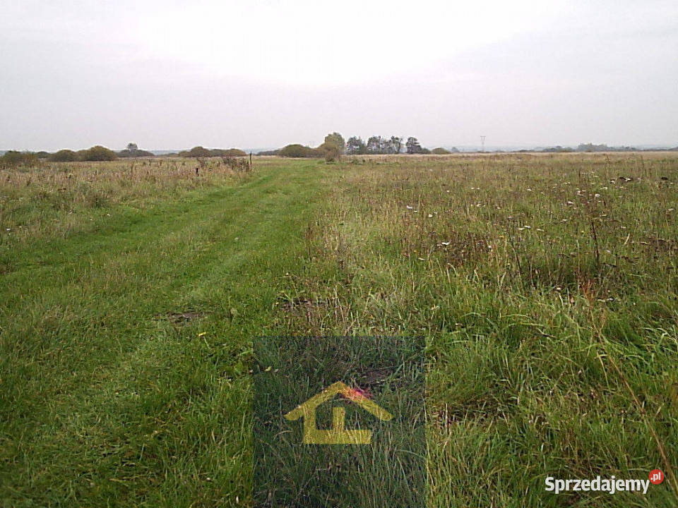 Działka inwestycyjna budowlana Całowanie sprzedam
