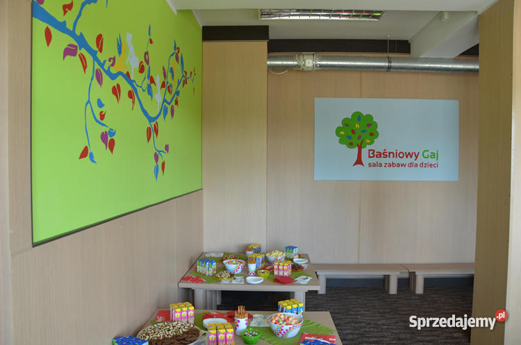 Odsprzedam biznes Sala zabaw w Redzie