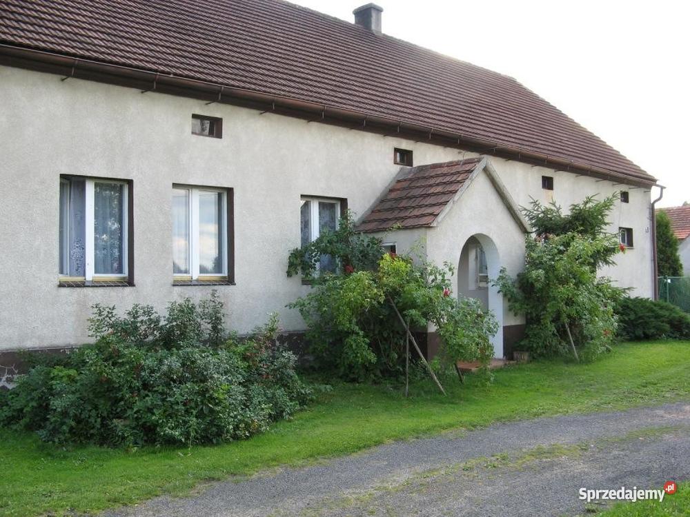 Smogorzów Wielki gmina Wińsko powiat Wołów Smogorzów Wielki