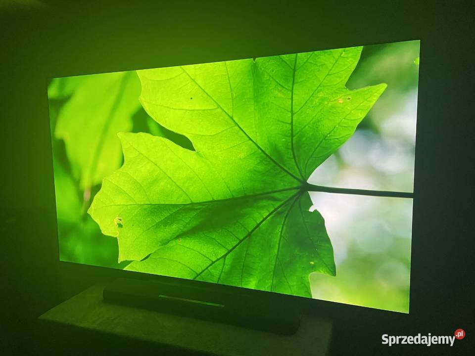 Świetny telewizor do salonu Samsung OLED 77 cali 4K 120Hz